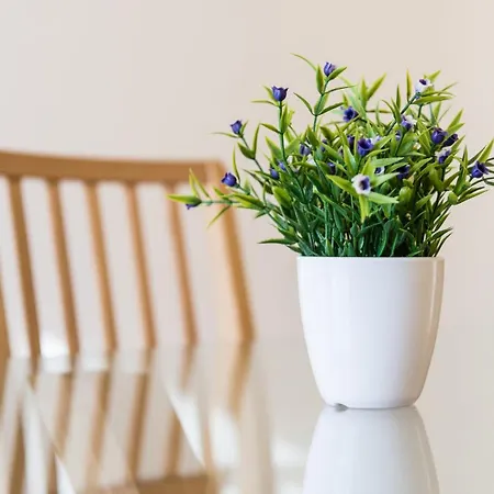 Guestready - Candal Big Watch